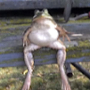 Meet your Posher, Dominic